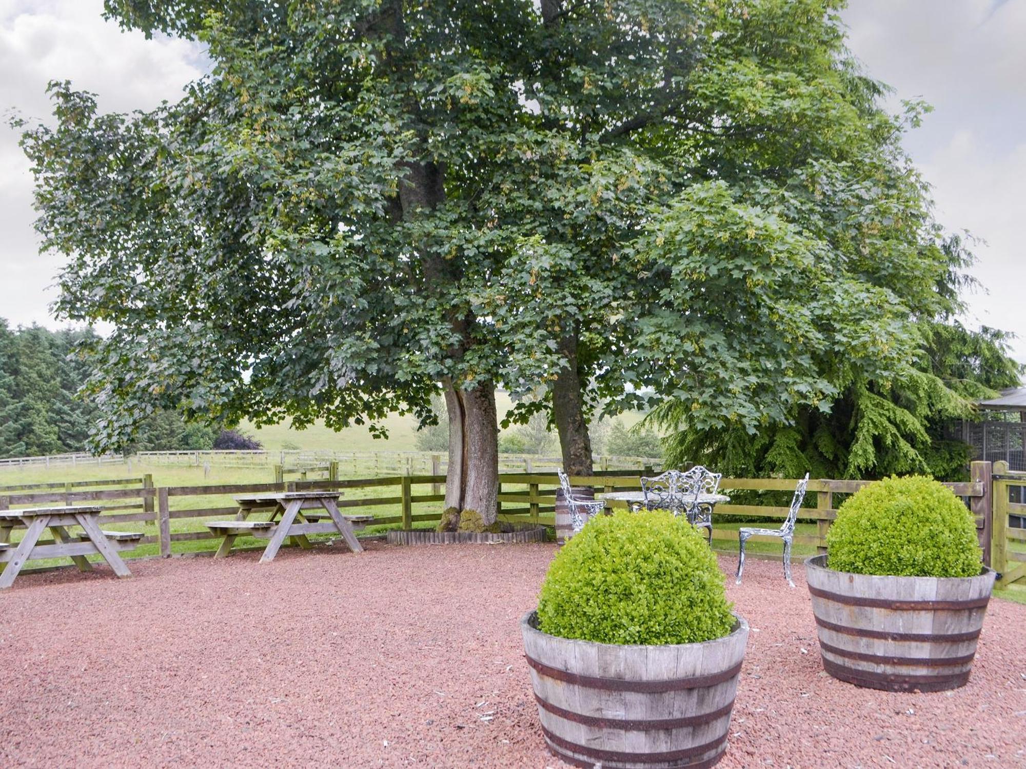 Piglet Cottage Elsdon ภายนอก รูปภาพ